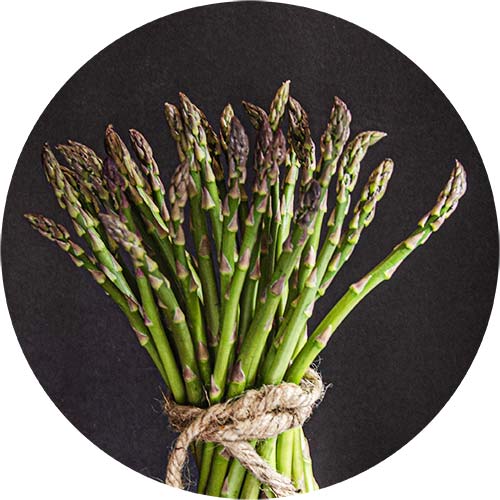 GlutenFree Turkey Giblet Gravy Edible San Fernando Valley